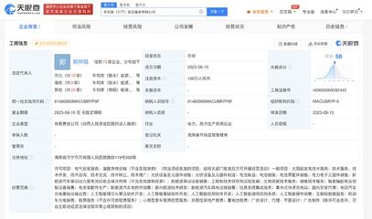 理想汽车加速布局海南 万宁成立能源服务公司，深化AI软件开发能力